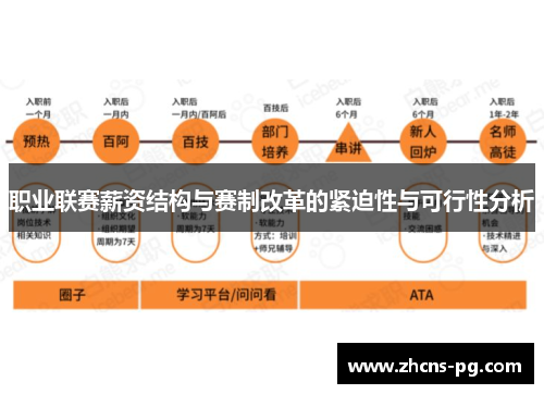 职业联赛薪资结构与赛制改革的紧迫性与可行性分析