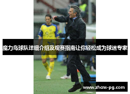 魔力鸟球队详细介绍及观赛指南让你轻松成为球迷专家