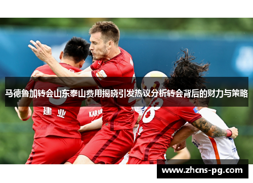 马德鲁加转会山东泰山费用揭晓引发热议分析转会背后的财力与策略